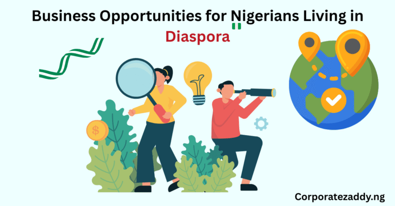 Business Opportunities for Nigerians in Diaspora: High ROI