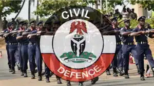 NSCDC Private Guard Company License Requirements